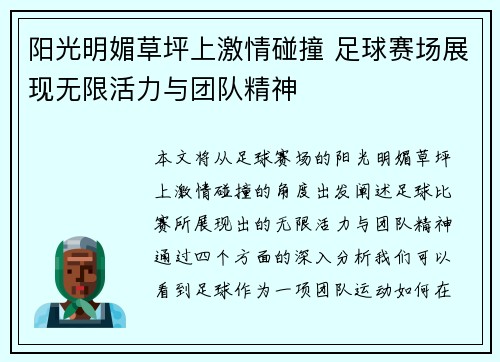 阳光明媚草坪上激情碰撞 足球赛场展现无限活力与团队精神