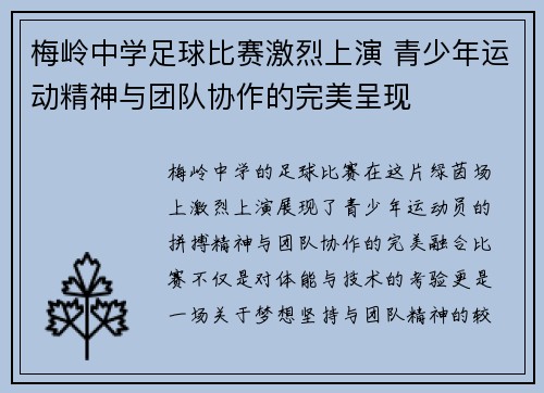 梅岭中学足球比赛激烈上演 青少年运动精神与团队协作的完美呈现